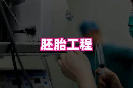 123试管孕网 3